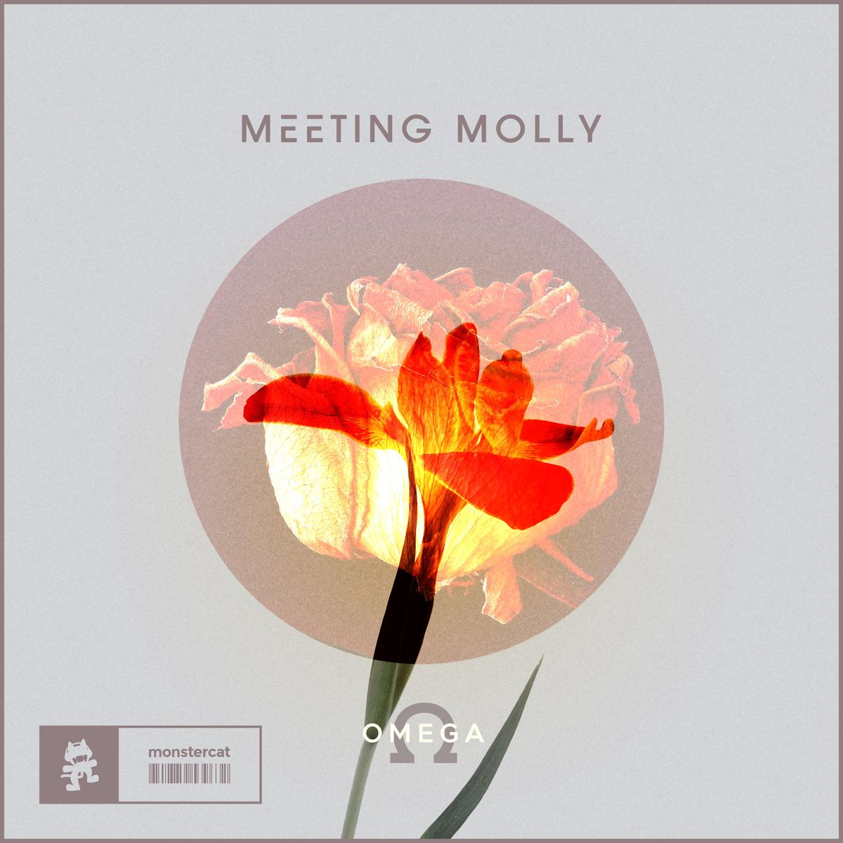 Meeting Molly - Omega [MCEP240]